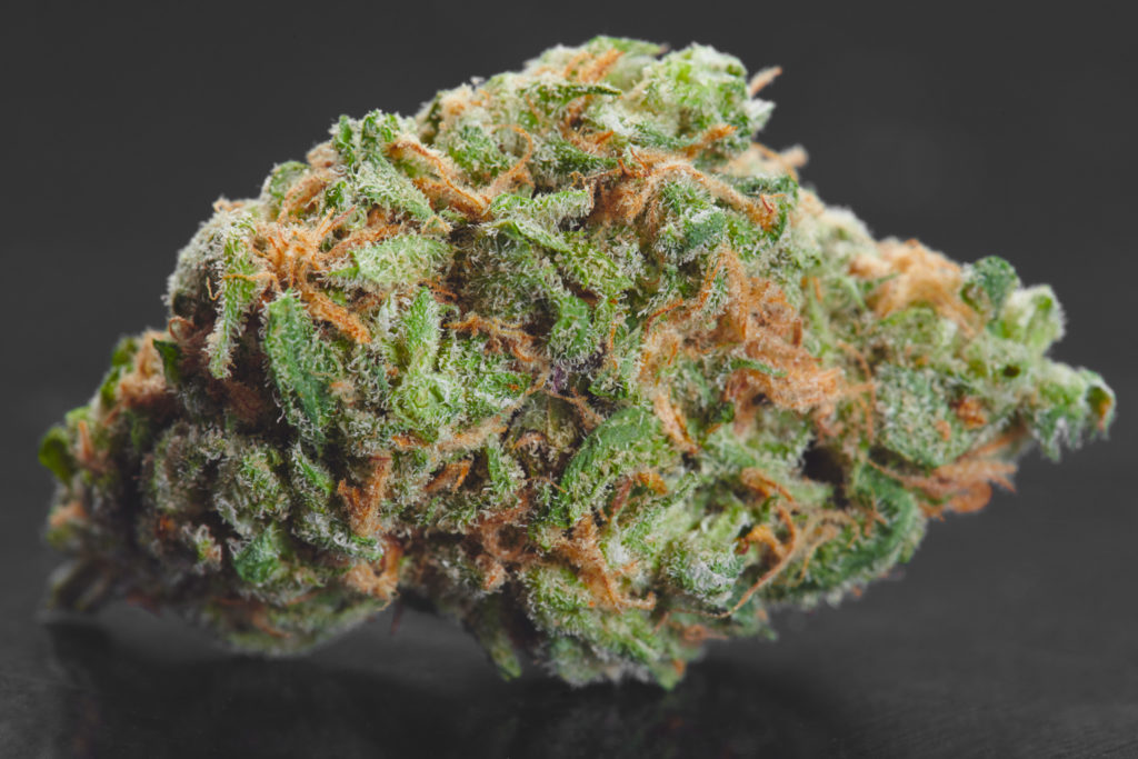 Exactly what Strain is Gas Monkey? Effects and Flavors