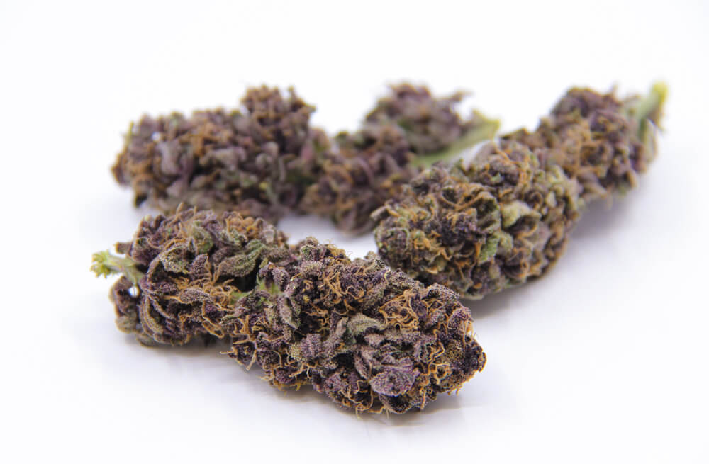 Purple Urkle Indoor Hemp Flower - Only $49.99/oz when subscribing to the monthly plan!