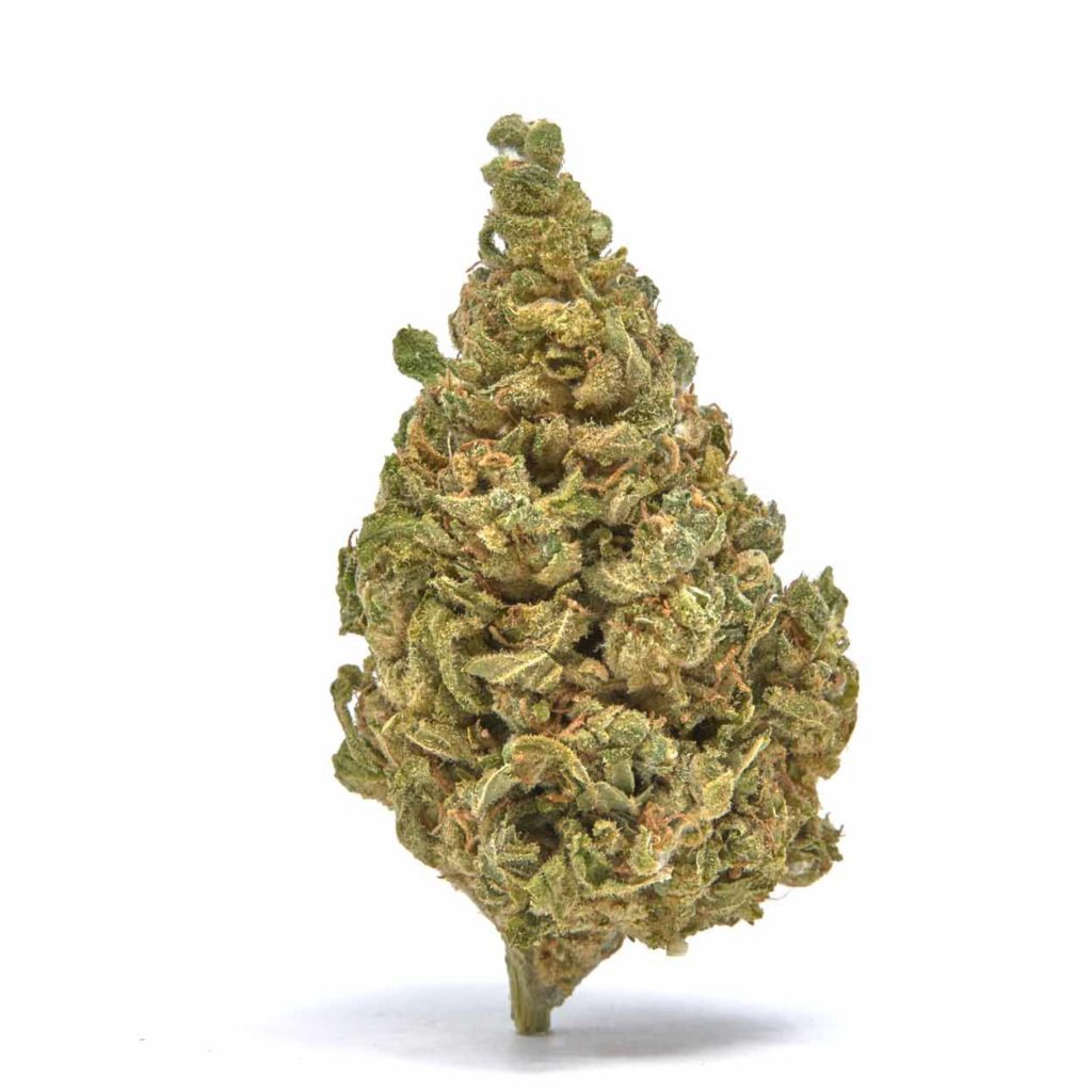 Fortified White Whale CBG/Delta 8 Flower - Only $450/lb